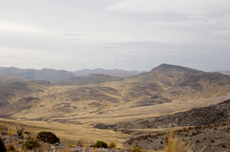 land