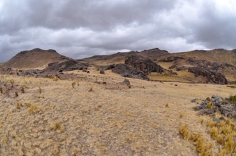 SALO2