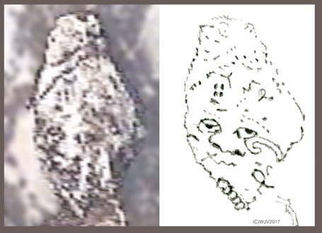 Figure10