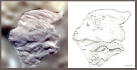 Figure5and5a