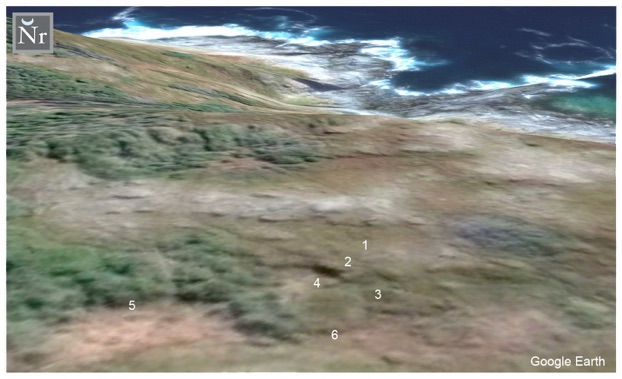 Fig3