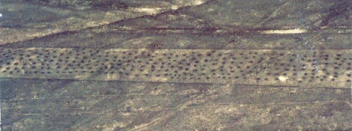 palpa inscription