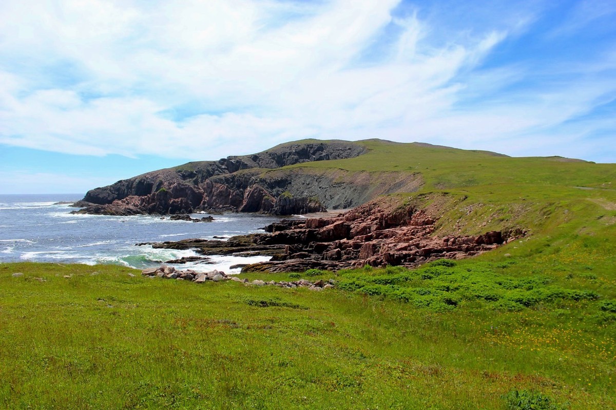 Stacks Image 66